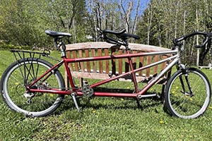 Photo of a daVinci Joint Venture Tandem Bicycle For Sale