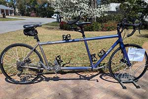 Photo of a 2019 daVinci Joint/Global Venture Tandem Bicycle For Sale
