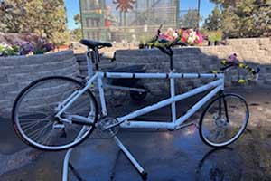 Photo of a Co-Motion Supremo Colorado Tandem Bicycle For Sale