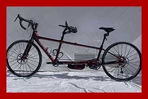 Photo of a 2019 Hawthorne e-Assist, size Med/Med Tandem Bicycle For Sale