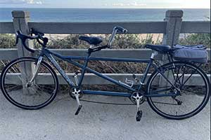 Photo of a daVinci Global Venture M/S Tandem Bicycle For Sale