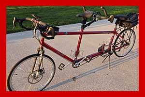 Photo of a 2008 daVinci Joint Venture w/ICS Tandem Bicycle For Sale